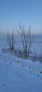 Rolig januar og mere hverdagsro i en enkel hverdag