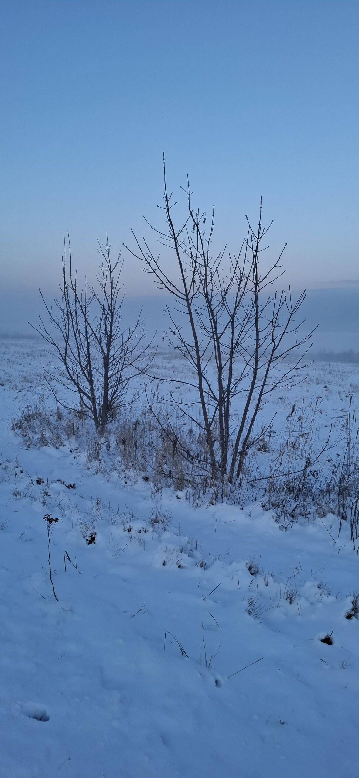 Rolig januar og mere hverdagsro i en enkel hverdag
